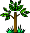 Bild Baum